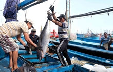 Việc Trung Quốc tạm ngừng đánh cá ở khu vực thuộc chủ quyền Việt Nam là không có giá trị