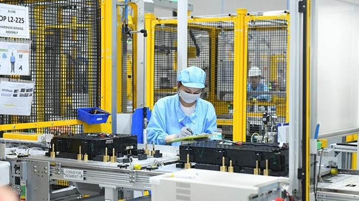 Những điều cần biết về các chế độ bảo hiểm thất nghiệp